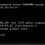 ip_dhcp.png