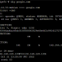 diggoogle.com.png