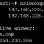 nslookupgoogle.png