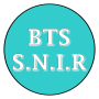 bts_snir.png
