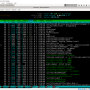 htop.png
