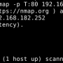 nmap7.png
