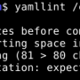 yamlint.png